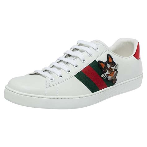 gucci shoes for dogs